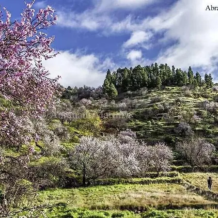 El Paraiso En Gigantes Apartmán Santiago del Teide
